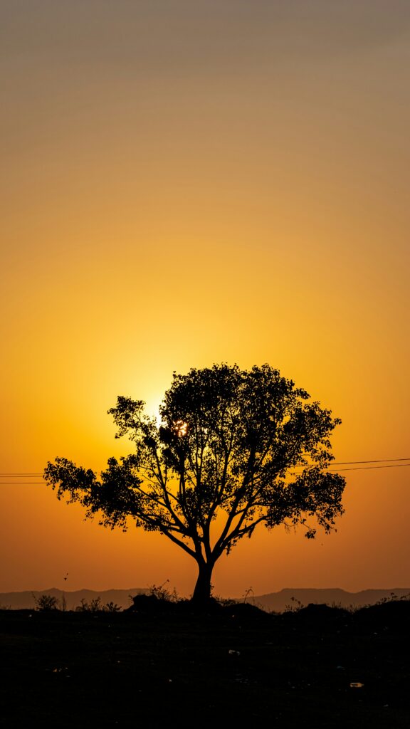 nischal kanishk k8yleh zilq unsplash