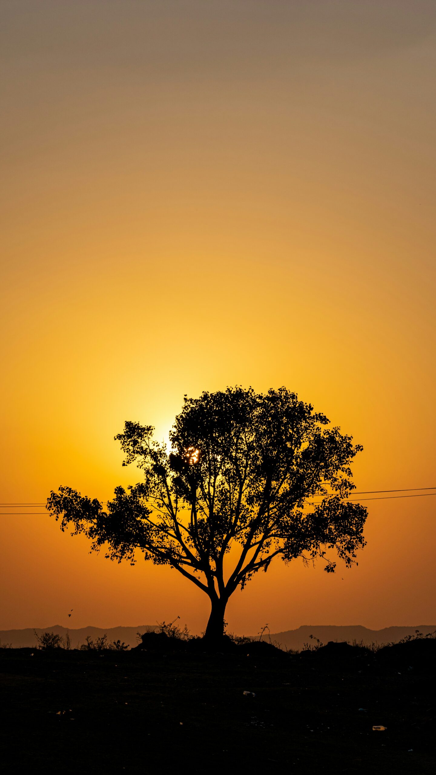 nischal kanishk k8yleh zilq unsplash